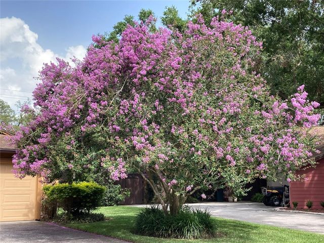 6709 PEACHTREE DRIVE, Temple Terrace, FL 33617