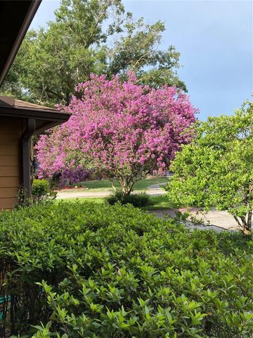 6709 PEACHTREE DRIVE, Temple Terrace, FL 33617