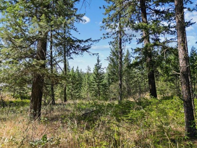 NKA Weaver Way, Deer Park, WA 99006
