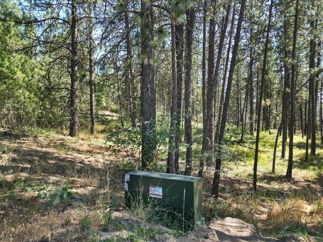 NKA Weaver Way, Deer Park, WA 99006