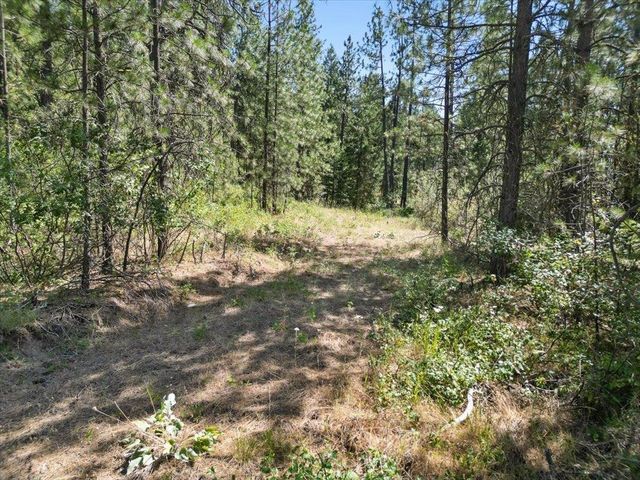 NKA Weaver Way, Deer Park, WA 99006