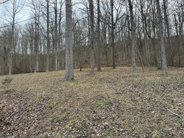 1355 Buckner Road, Tornado, WV 25202