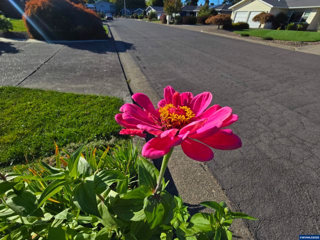 1104 29th Av SW, Albany, OR 97321