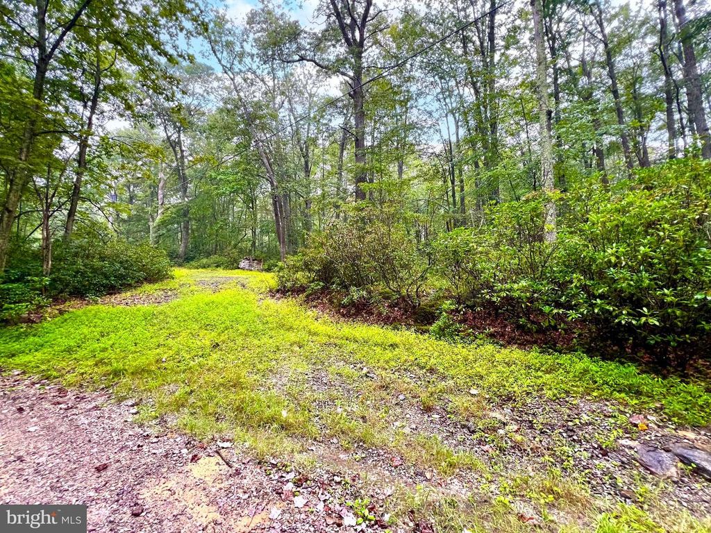 9 & 10 GROUSE RUN RD, Oakland, MD 21550