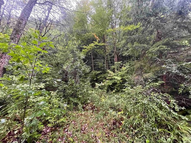 667 Hinkley Brook Road, Grafton, VT 05146