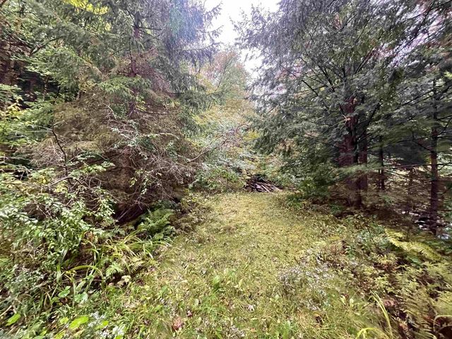 667 Hinkley Brook Road, Grafton, VT 05146