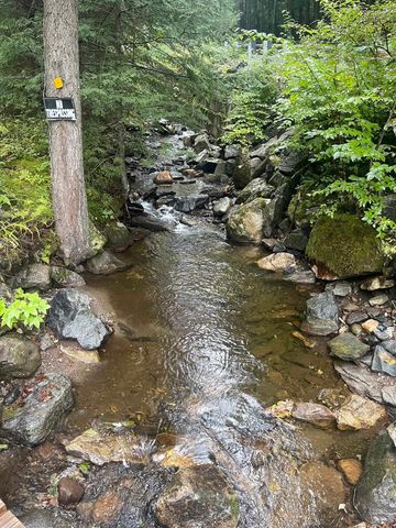 667 Hinkley Brook Road, Grafton, VT 05146