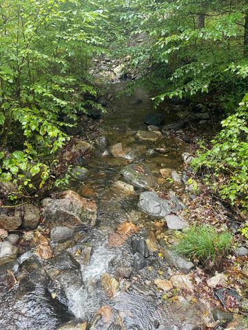 667 Hinkley Brook Road, Grafton, VT 05146
