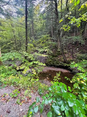 667 Hinkley Brook Road, Grafton, VT 05146