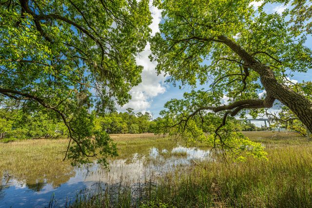 130 River Landing Drive Unit 2215, Charleston, SC 29492