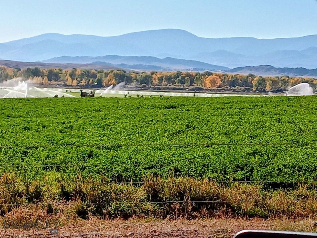 2651 Big Horn, Melrose, MT 59743 photo 10