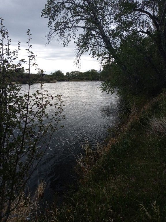 2651 Big Horn, Melrose, MT 59743 photo 47