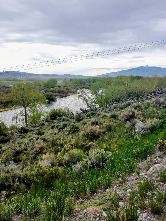 2651 Big Horn, Melrose, MT 59743 photo 54