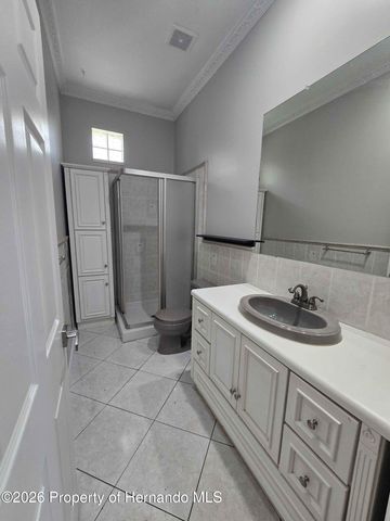 12020 Robina Road, Weeki Wachee, FL 34614