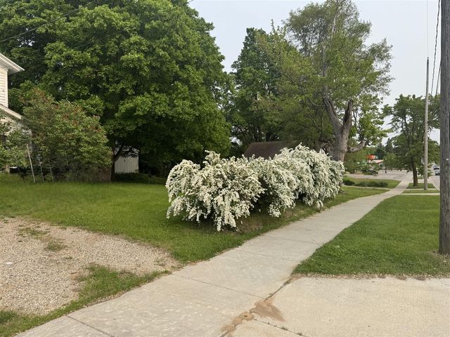 313 W 6th Street, Evart, MI 49631