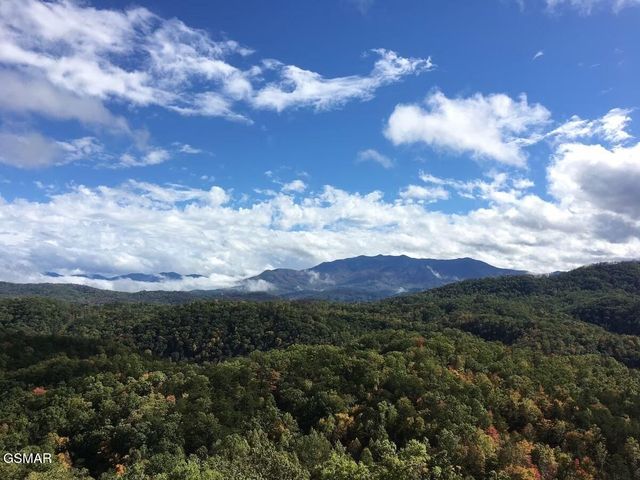 4610 High Vista Way, Pigeon Forge, TN 37863