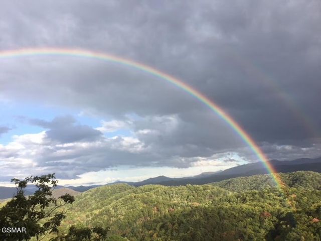 4610 High Vista Way, Pigeon Forge, TN 37863