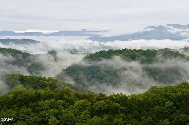 4610 High Vista Way, Pigeon Forge, TN 37863