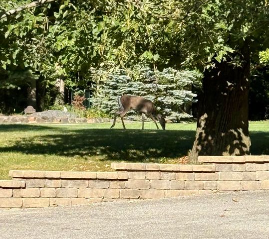 1190 N Hinterland Court, Monticello, IN 47960