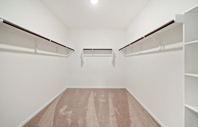 30523 Wolfburn Street, Waller, TX 77484