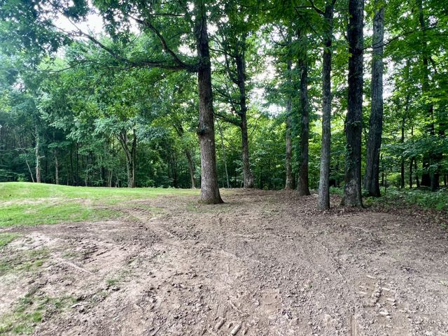 499 Scenic Hills Rd, Pulaski, TN 38478