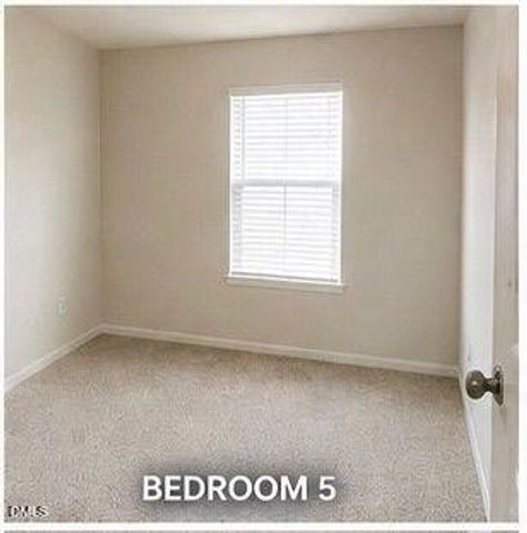 51 White Birch Lane, Angier, NC 27501