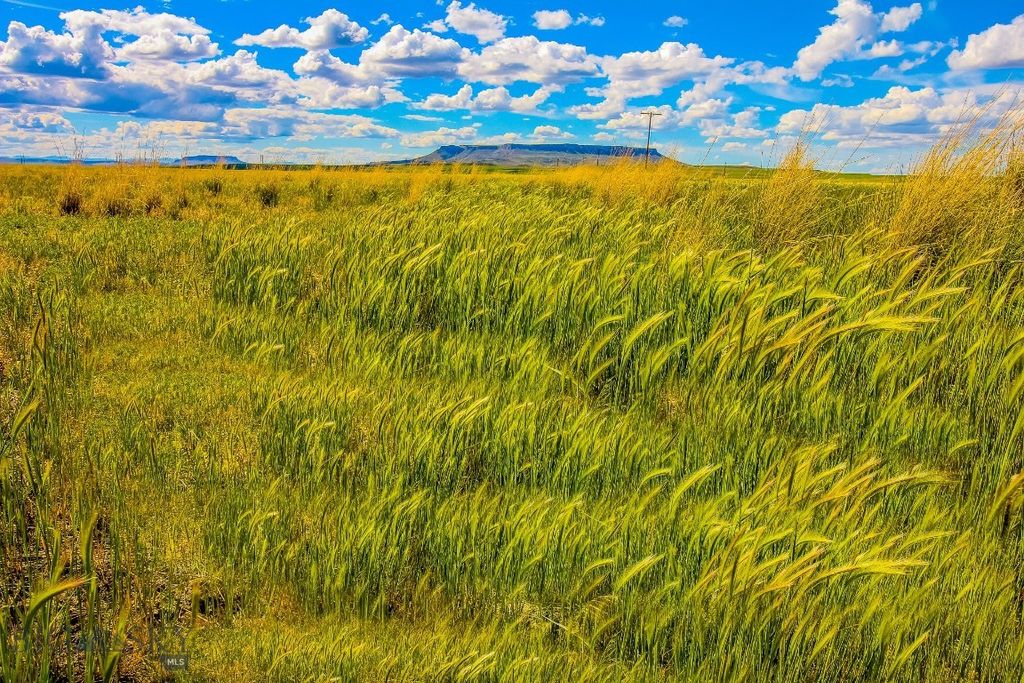 Muddy Creek Ranch, Cascade, MT 59421 photo 16