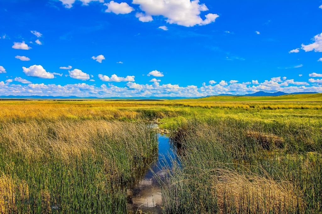Muddy Creek Ranch, Cascade, MT 59421 photo 30