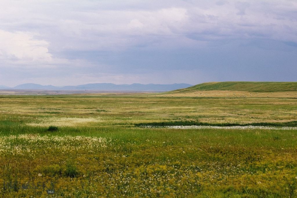 Muddy Creek Ranch, Cascade, MT 59421 photo 33