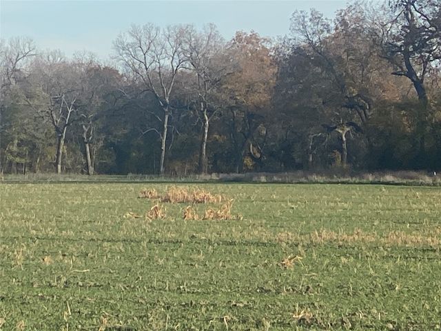 1251 CR 360, Gustine, TX 67455