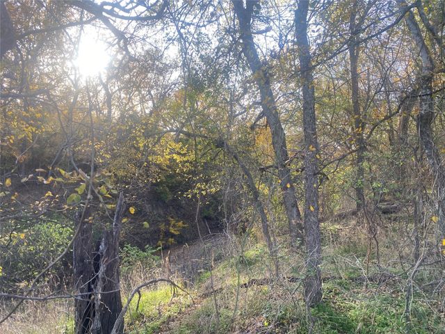1251 CR 360, Gustine, TX 67455