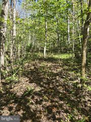 HURT HOLLOW RD, Banco, VA 22711