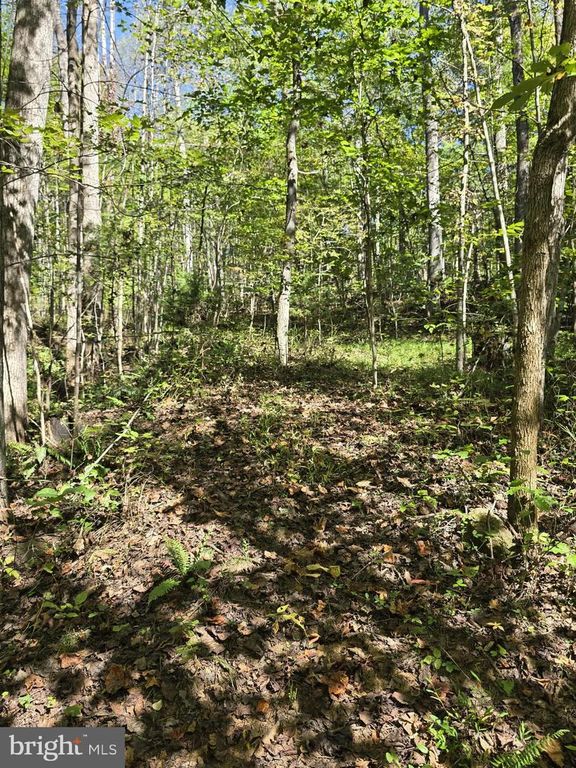 HURT HOLLOW RD, Banco, VA 22711