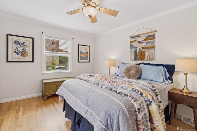 1244 Albion Street, Denver, CO 80220