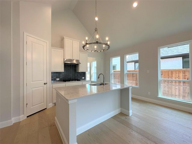15621 Fringe Tree Road, Frisco, TX 75035