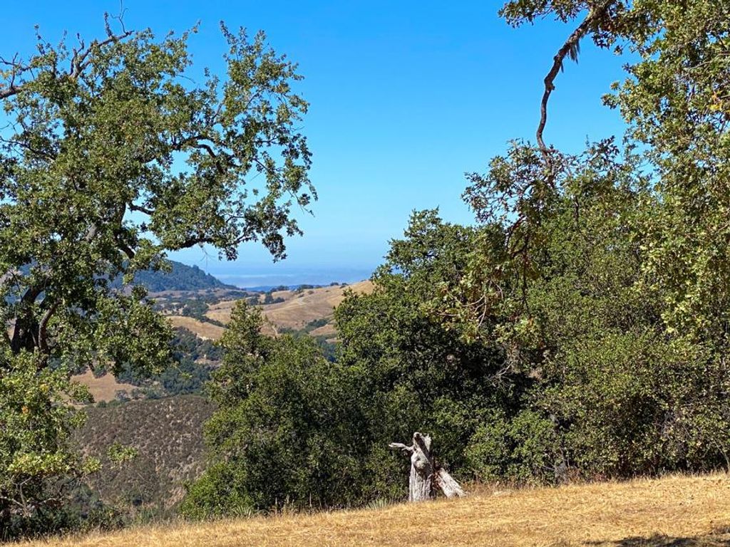 Image 12 of property listing at 21 Long Ridge Trail, Carmel, CA 93923