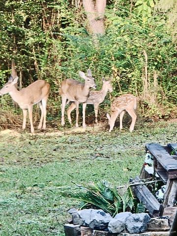 5406 Steele Rd, Baker, FL 32531