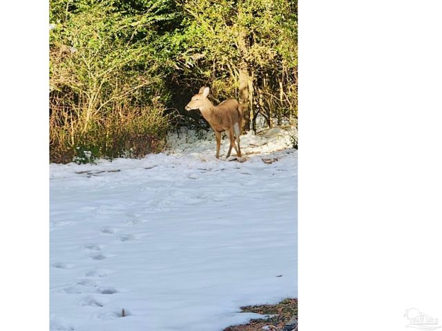 5406 Steele Rd, Baker, FL 32531