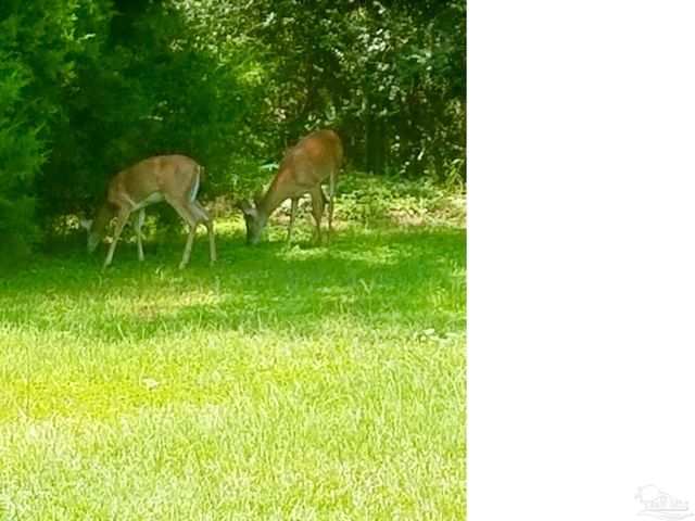 5406 Steele Rd, Baker, FL 32531