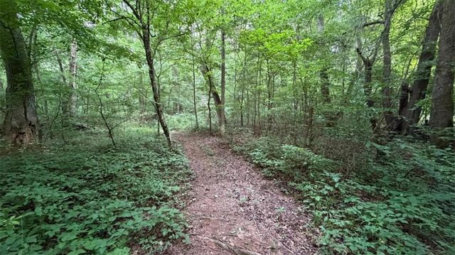 270 Spruell Creek Drive, Temple, GA 30179