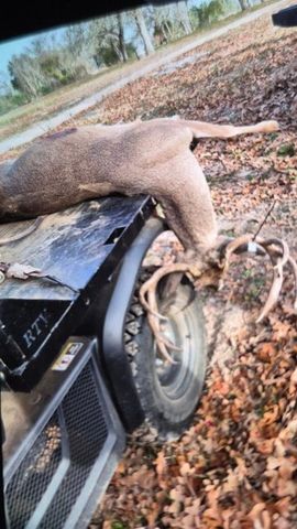 1065 Private Road 7041, Elgin, TX 78621