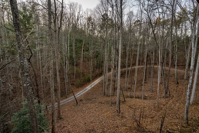 307 Ross Road, Mineral Bluff, GA 30559