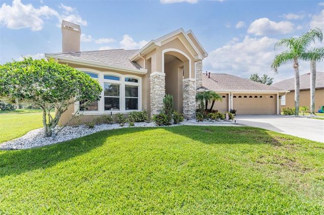 19119 MANDARIN GROVE PLACE, Tampa, FL 33647