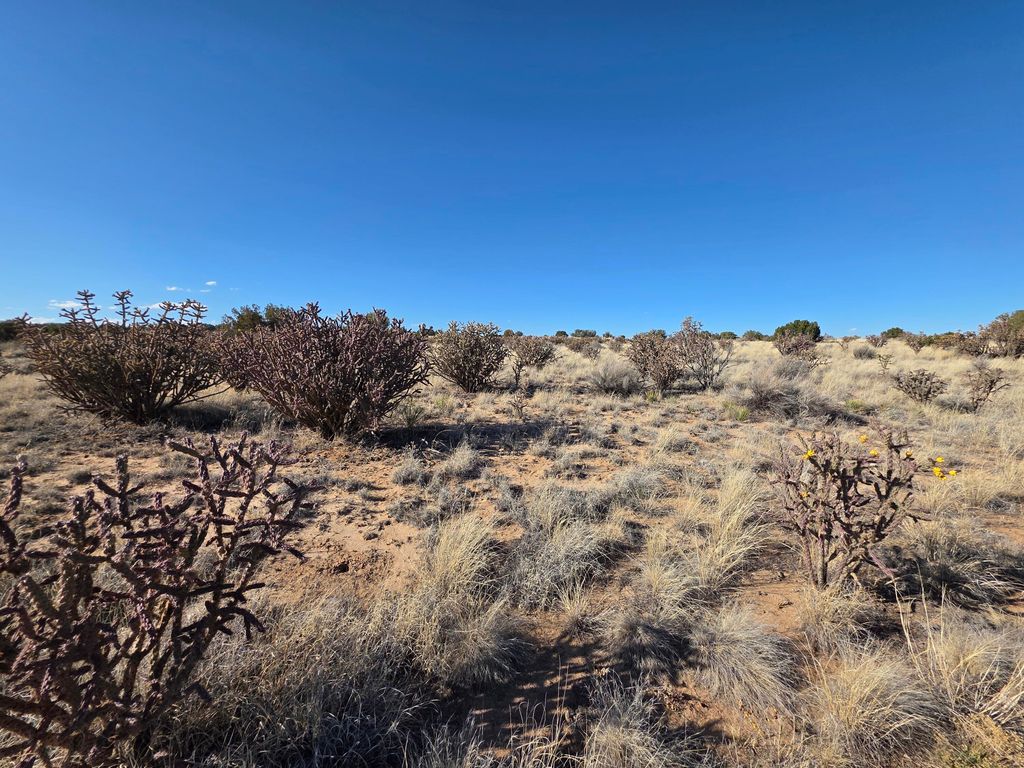 Image 7 of property listing at 6457 Galway Road NE, Rio Rancho, NM 87144