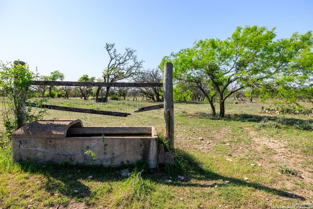 453 Reeves Ln, Harper, TX 78631