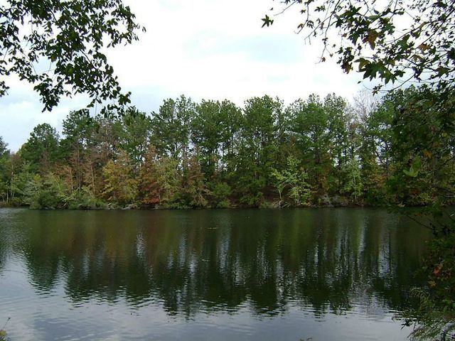 47 Deer Ridge, Cleveland, TX 77327