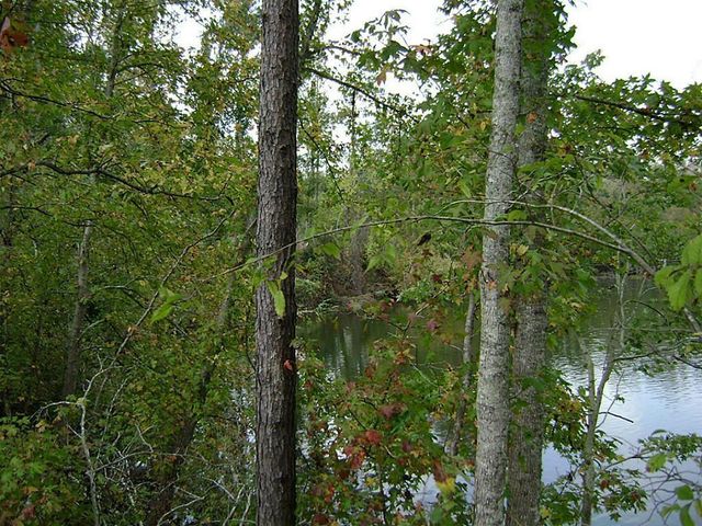 47 Deer Ridge, Cleveland, TX 77327