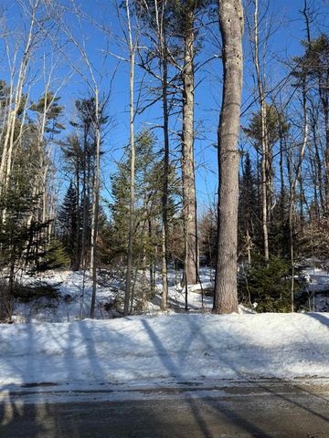 00 Hobbs Road, Effingham, NH 03882