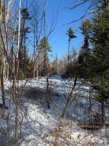 00 Hobbs Road, Effingham, NH 03882