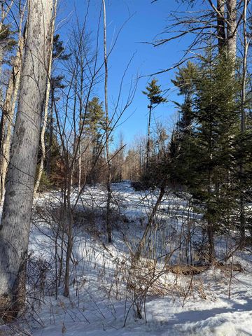 00 Hobbs Road, Effingham, NH 03882